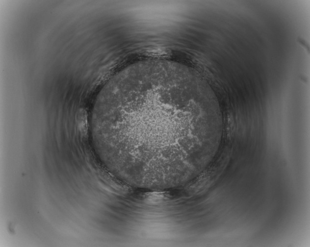 X0000100760320200807101734