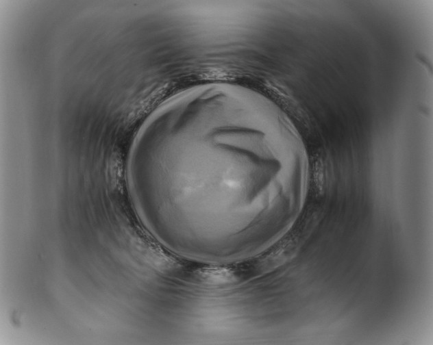 X0000100760322200807101734