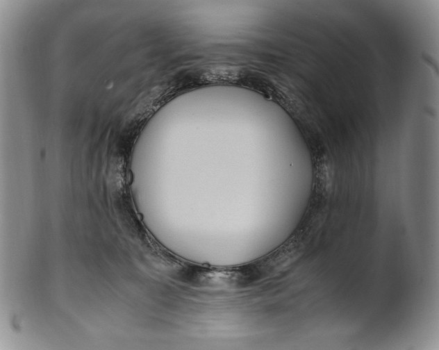X0000100760323200807101734