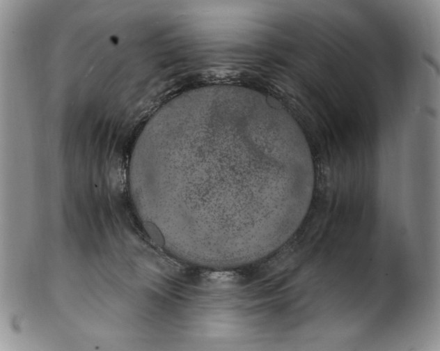 X0000100760324200807101734