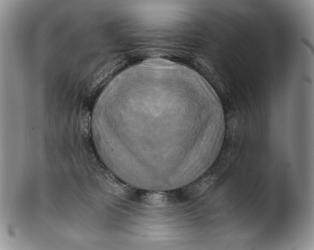 X0000100760325200807101734