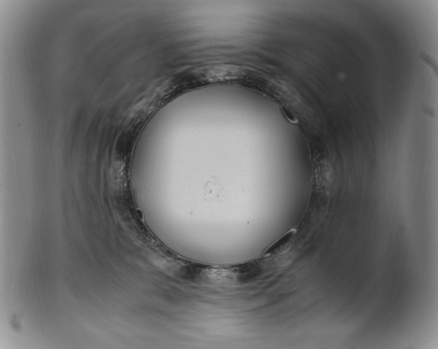 X0000100760327200807101734