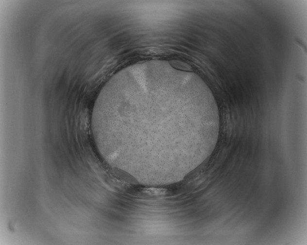 X0000100760328200807101734