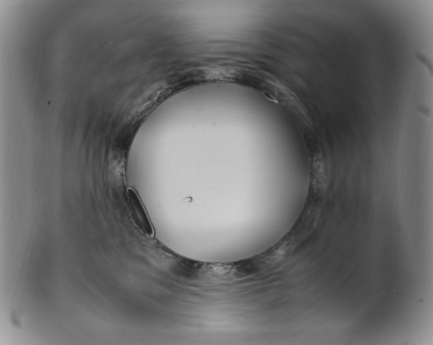X0000100760329200807101734