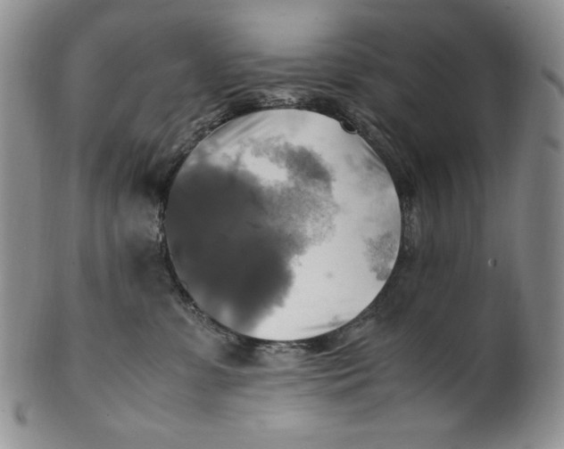 X0000100760331200807101734