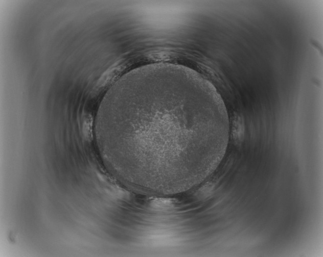 X0000100760332200807101734