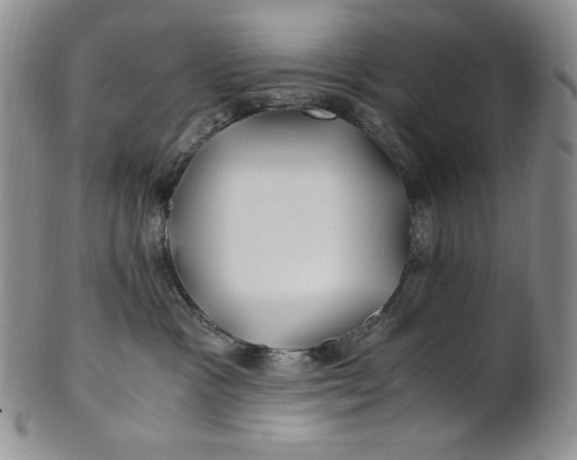 X0000100760333200807101734