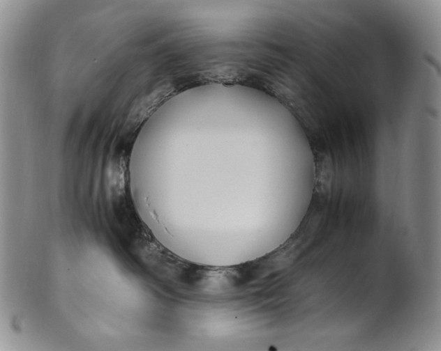 X0000100760334200807101734
