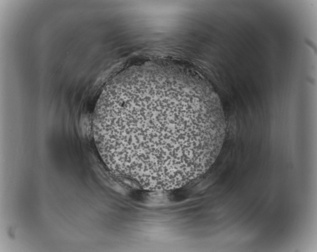 X0000100760335200807101734