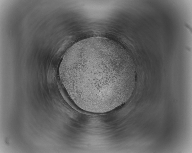 X0000100760336200807101734