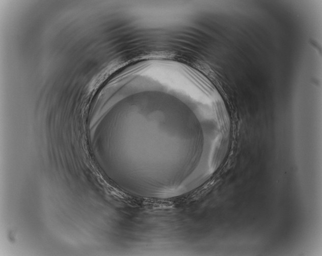 X0000100760337200807101733