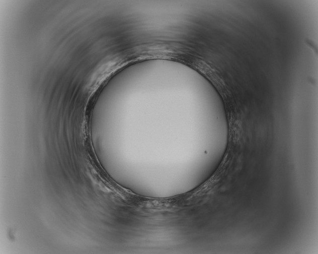 X0000100760338200807101733