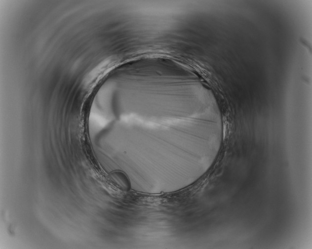 X0000100760339200807101733