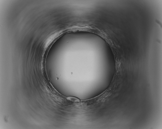X0000100760340200807101733