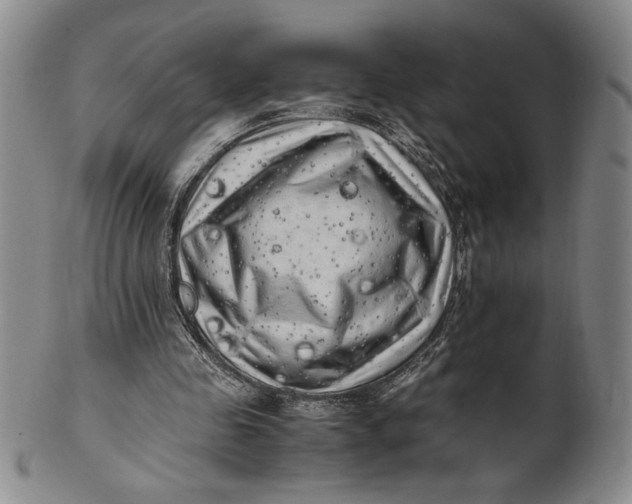 X0000100760341200807101733
