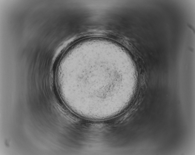 X0000100760342200807101733