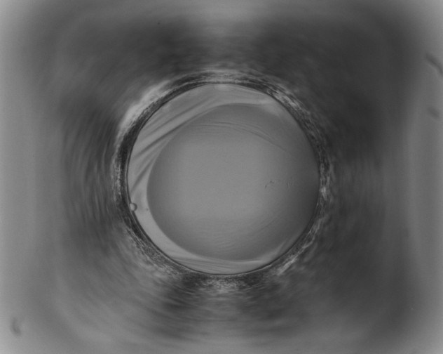 X0000100760343200807101733