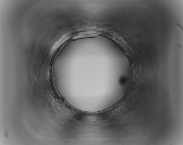 X0000100760344200807101733