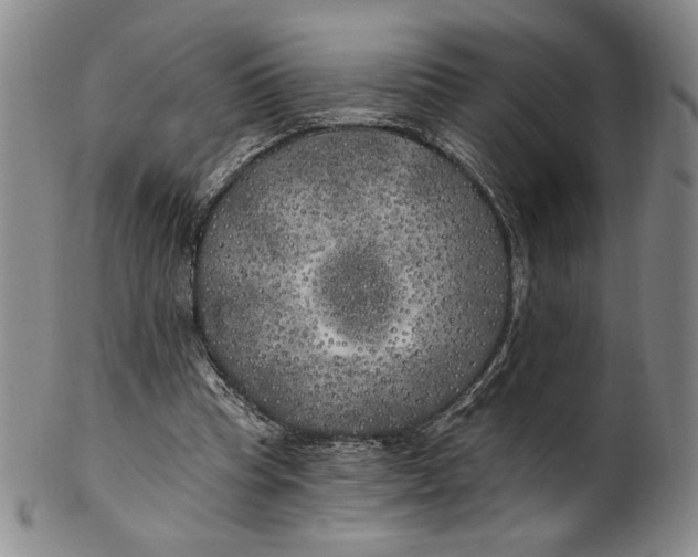 X0000100760345200807101733