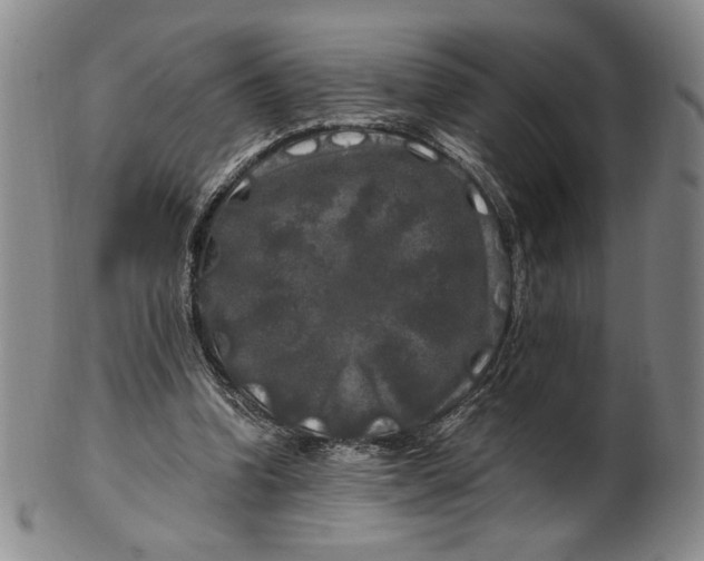 X0000100760346200807101733
