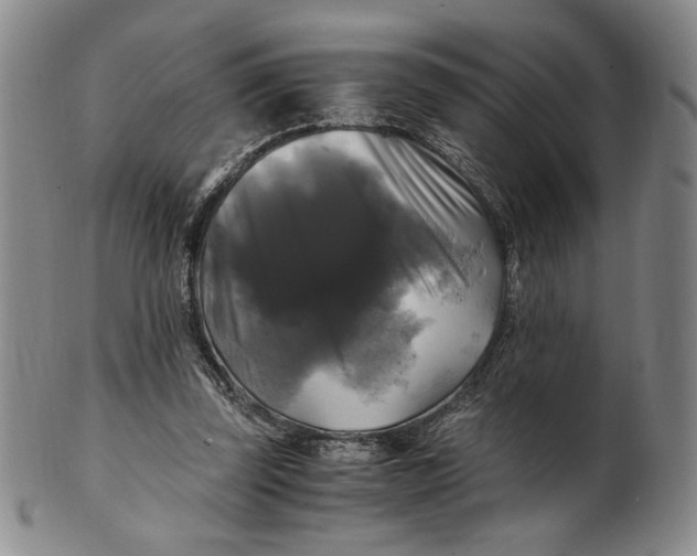 X0000100760347200807101733