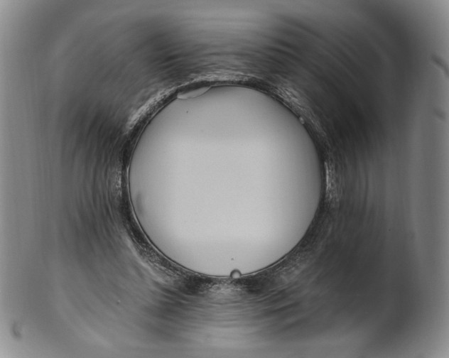 X0000100760348200807101733