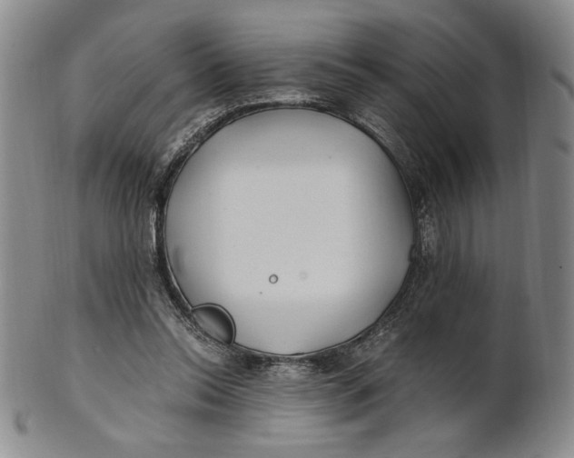 X0000100760350200807101733
