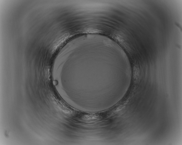 X0000100760351200807101733