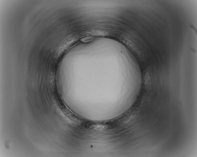 X0000100760352200807101733
