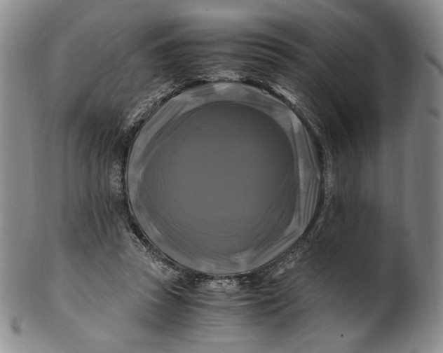 X0000100760353200807101733
