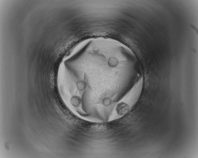 X0000100760354200807101733