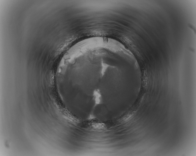 X0000100760355200807101733
