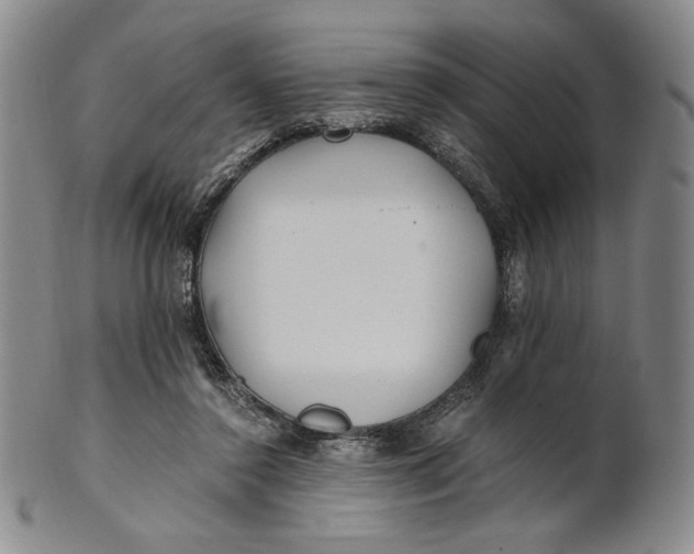 X0000100760356200807101733
