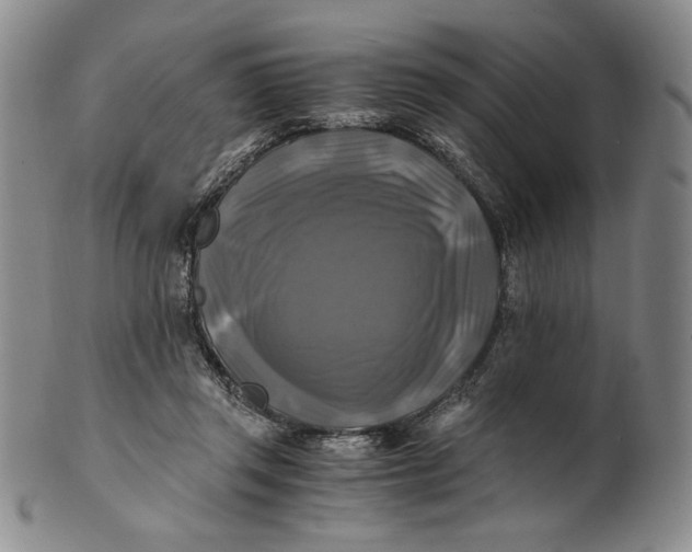 X0000100760357200807101733