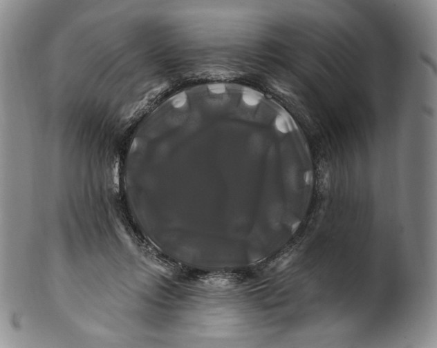 X0000100760358200807101733