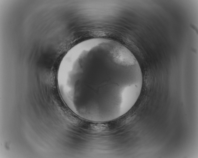X0000100760359200807101733