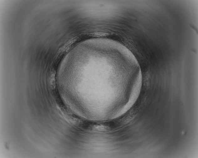 X0000100760360200807101733