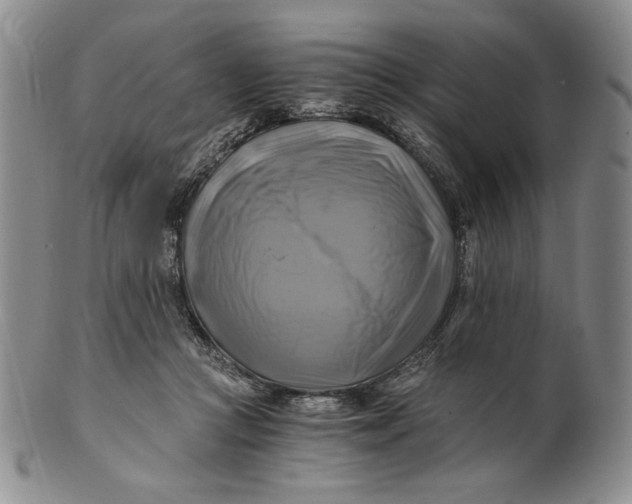 X0000100760361200807101733