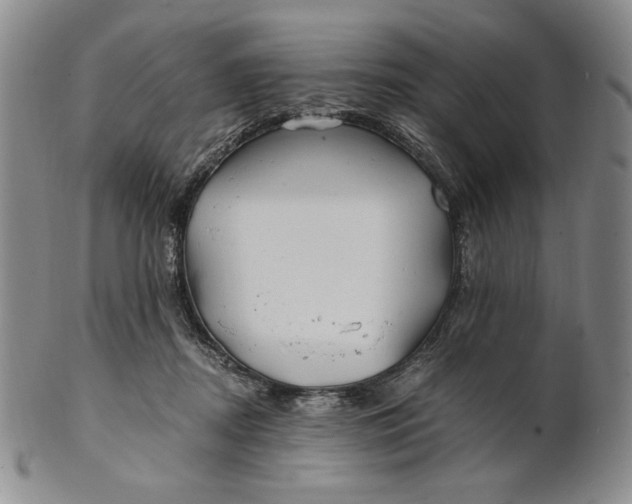 X0000100760362200807101733