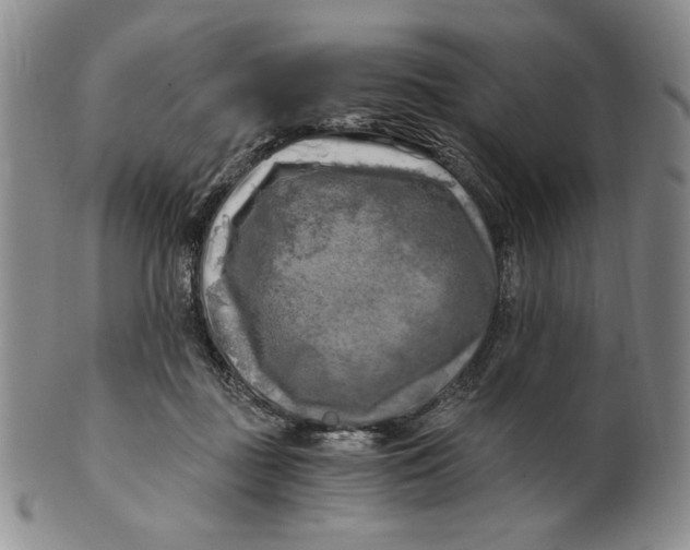 X0000100760363200807101733