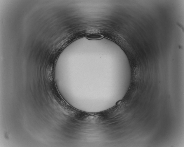 X0000100760364200807101733