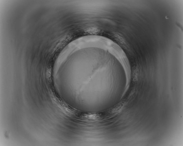X0000100760365200807101733
