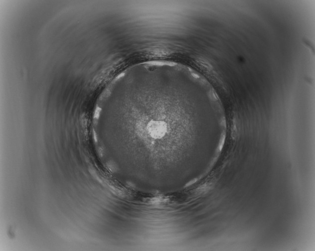 X0000100760366200807101733