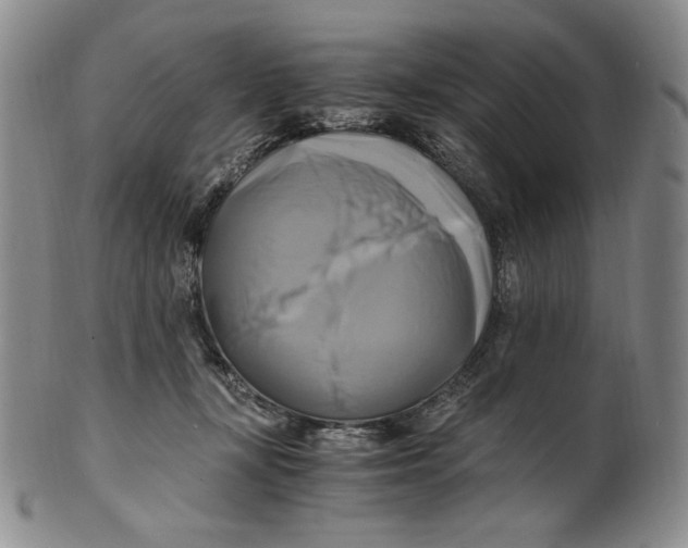 X0000100760367200807101733