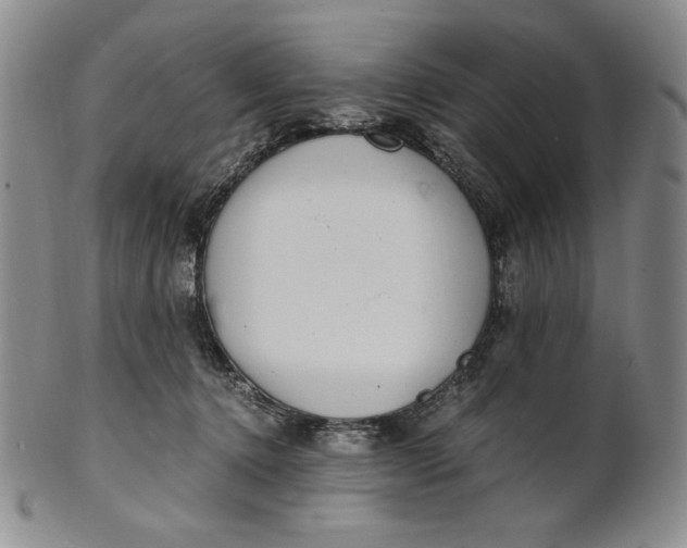 X0000100760368200807101733