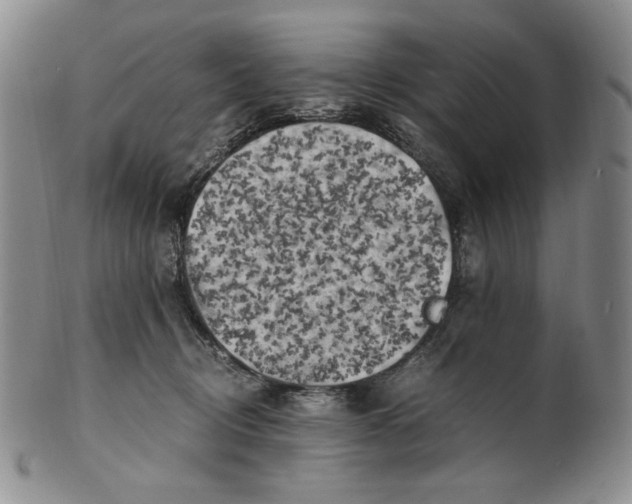 X0000100760370200807101733