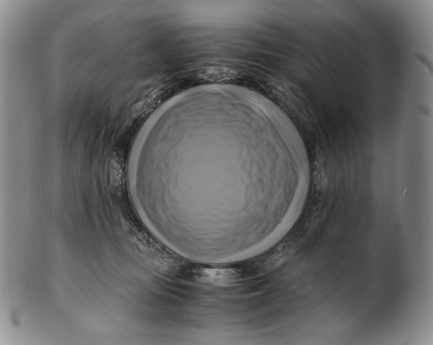 X0000100760371200807101733