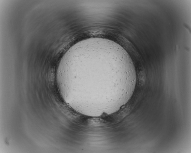 X0000100760372200807101733