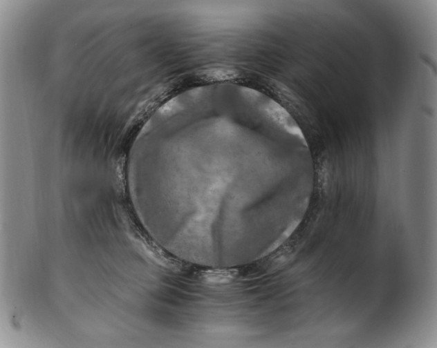 X0000100760373200807101733