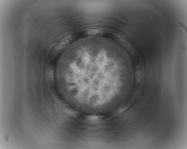 X0000100760375200807101733